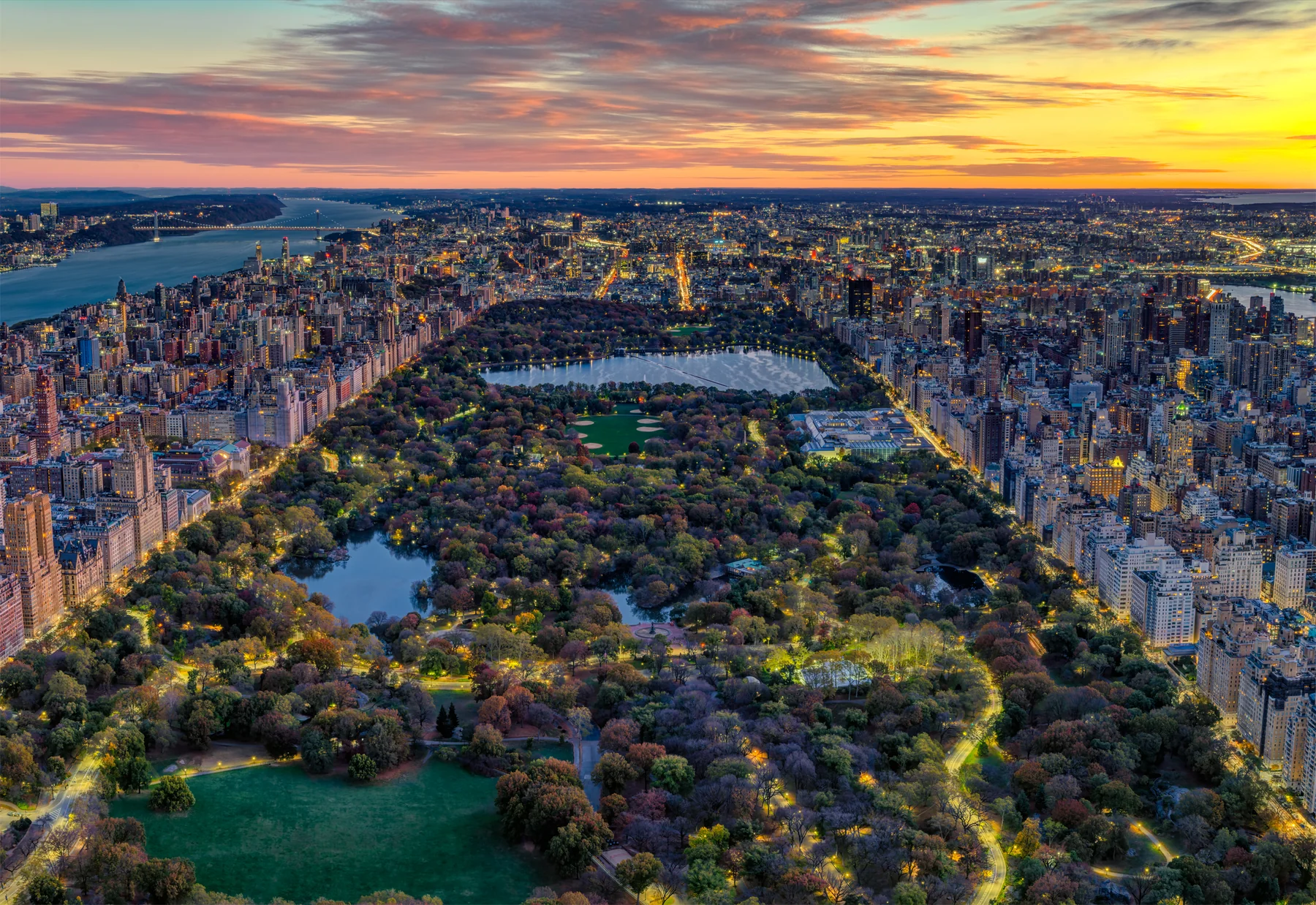 How to Book the Perfect NYC Horse Carriage Ride Online